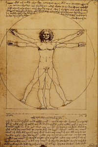 Vitruvian Man Bible