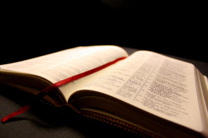 Bible not literal