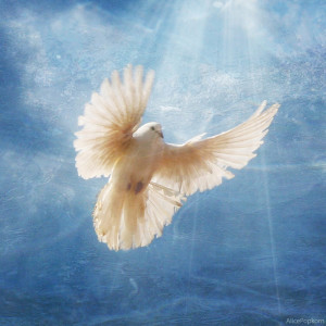 Holy Spirit